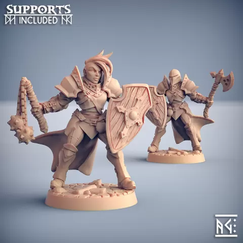 Human Fighters Guild - C (Lady) Modular by Artisan Guild