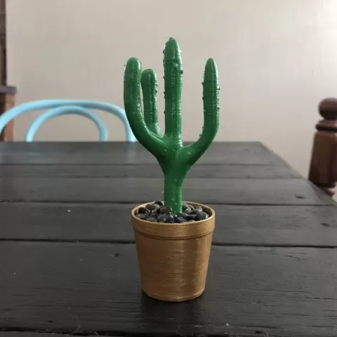 Cactus Ring Holder by Paul Williams