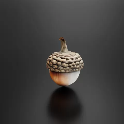 acorns_01
