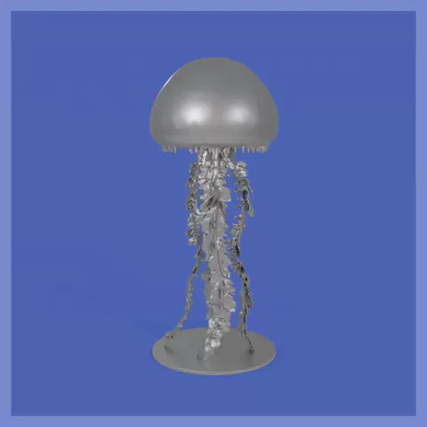 Jellyfish
