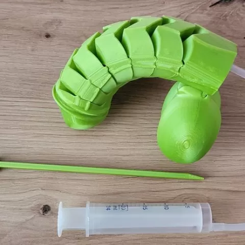 Movable PENIS