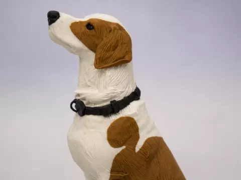 Blue | Perro 3D