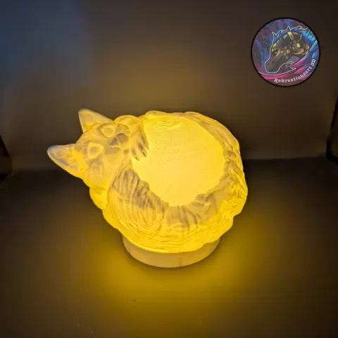 cat light globe