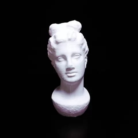 Marble head of a young woman from a funerary statue by Scan The World