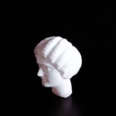 Head of a noble roman woman by Scan The World