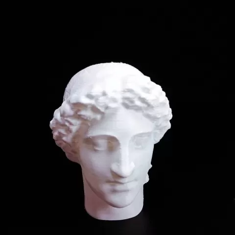 Roman bust by Scan The World