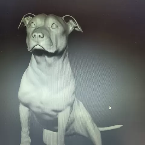 Amstaff - Lion 300