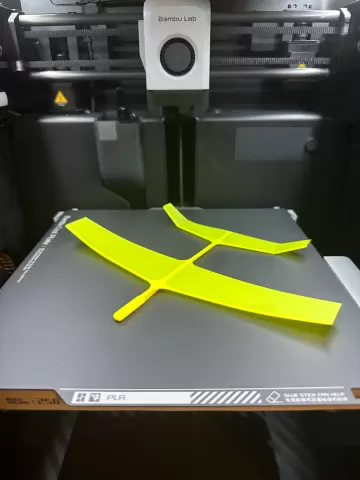 Indoor/Outdoor Airplane