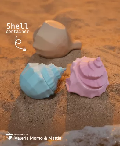 Shell Diorama Container