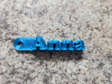 Anna Keychain - Trash Can Guy