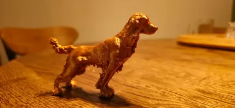 Cocker Spaniel - SlightWave