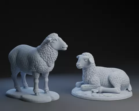 Nativity Sheep Set