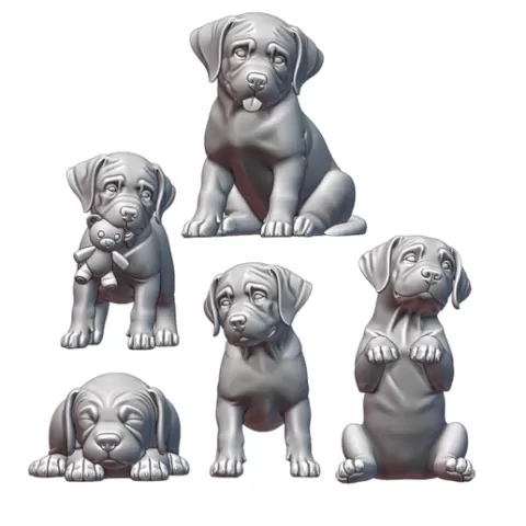 Labrador Puppies!