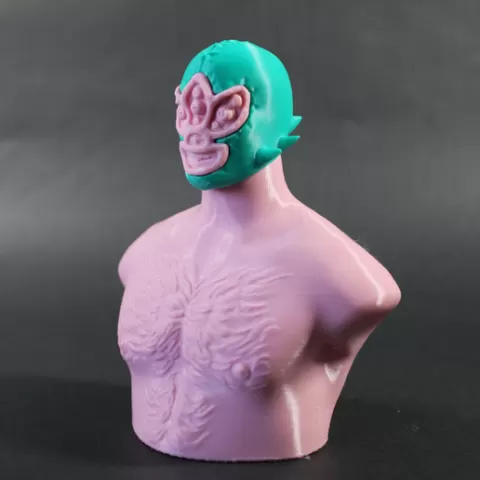 Alien Luchador