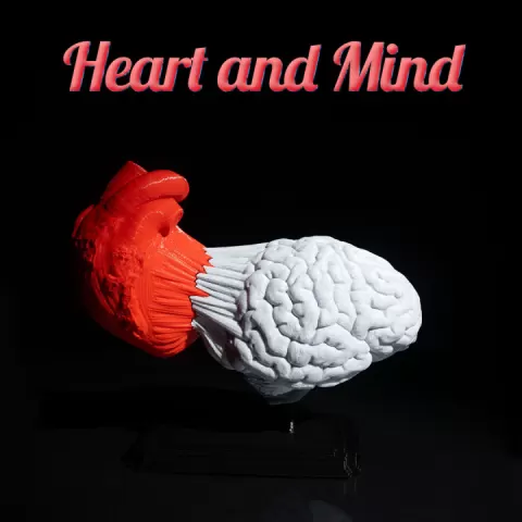 Heart and Mind by Stlflix