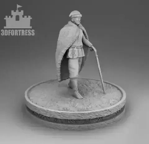 Viking traveler