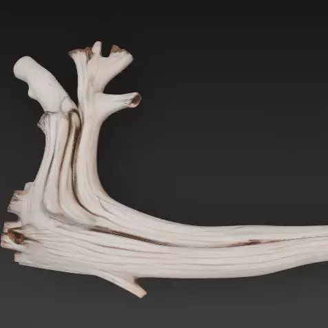 treibholz 2 - Brainbits3D