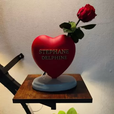 cœur rose éternelle
