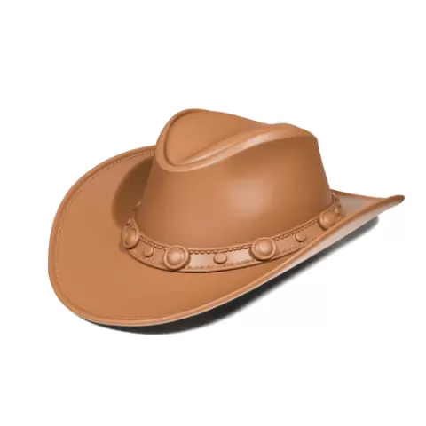 Western hat 2