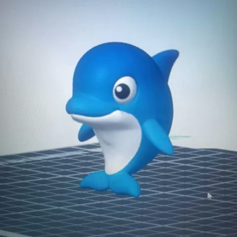 Dolphin