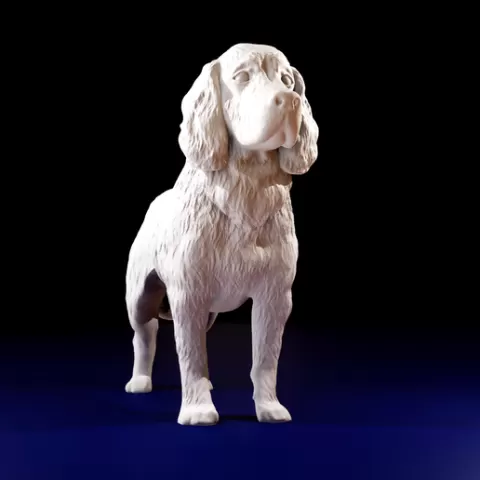 English Springer Spaniel