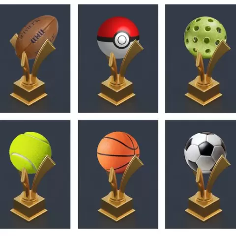 TROPHY-BALL HOLDER