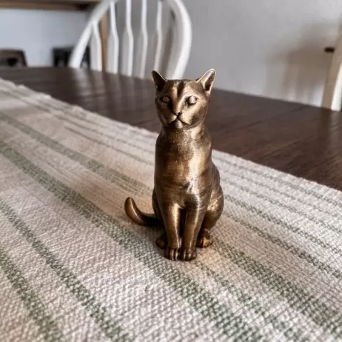Cat - Catt