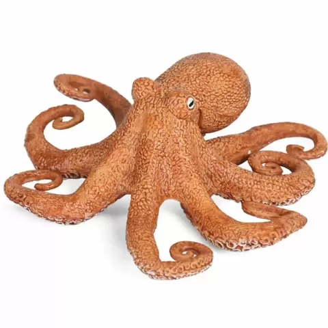 Octopus - 3demre