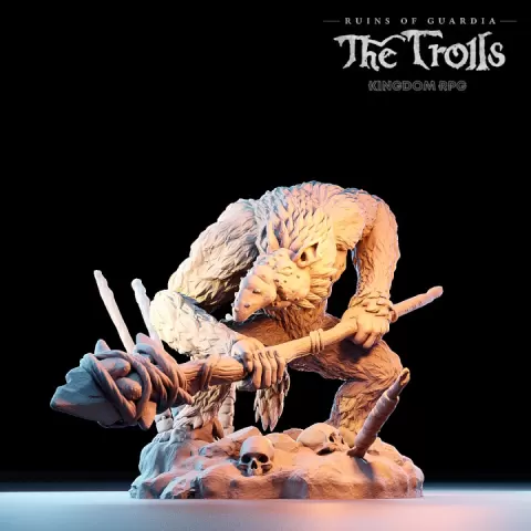 Zebajin, the Nosy Troll Guard - Ruins of Guardia: The Trolls by Dalla Croce Studios