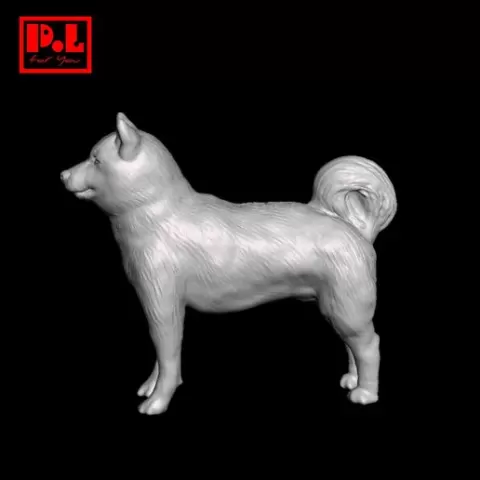 Dog - v2
