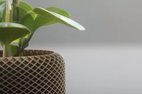 Geometric Planter 1
