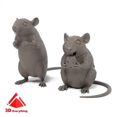 Rats by 3D Everything