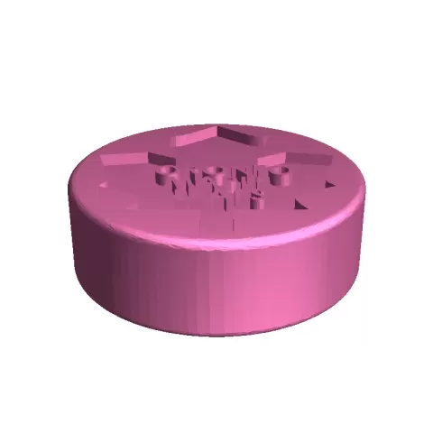 Toronto embossed puck