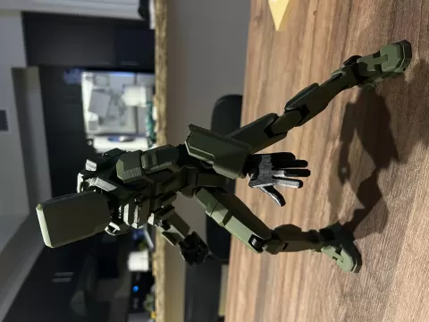 Dummy 13 Armor/Plate Carrier