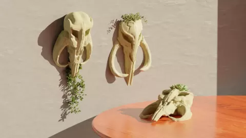 Mythosaur Skull (The Mandalorian) - Star Wars Pot Plant Set