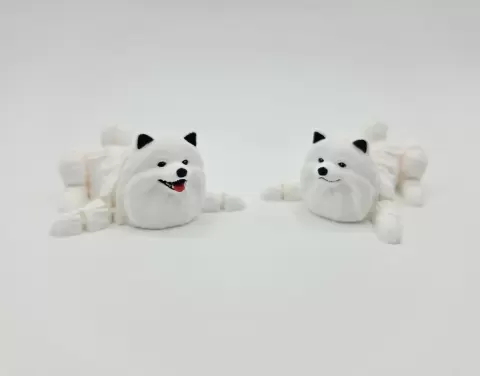 Flexi Pomeranian