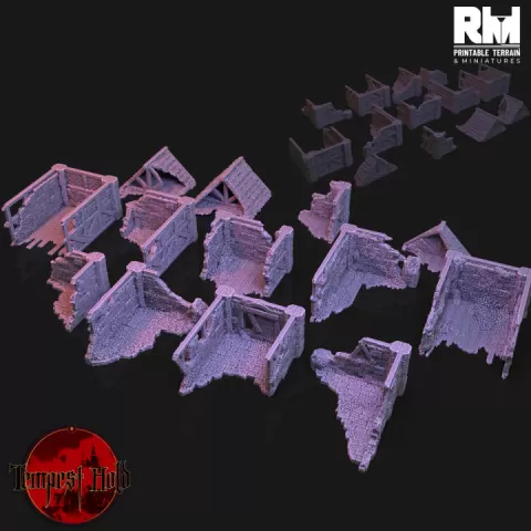 Tempest Hold Ruined Homes by RMPrintable