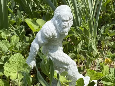 Edited Bigfoot scan