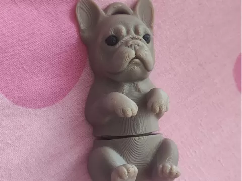 French Bulldog (Articulated/ Cute Desk Toy/ Flexi)