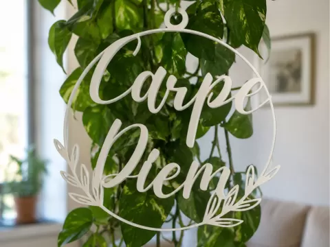 Carpe Diem Ornament – Modern Inspirational Decor