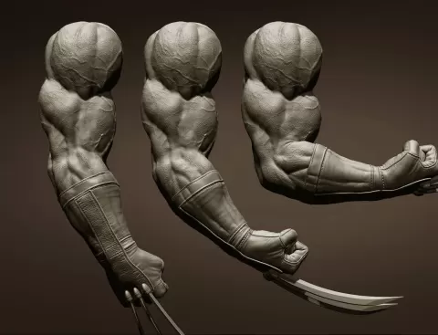 3 Wolverine arm poses - 3Daniartist