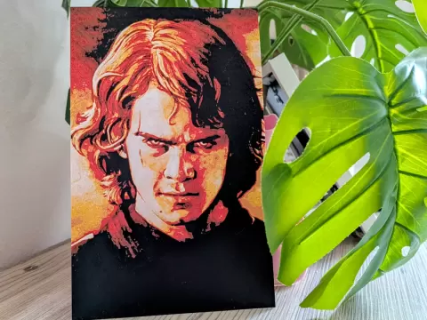 Anakin Skywalker - Dark Side HueForge Porträt
