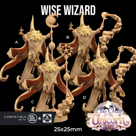 Wise Wizard | PRESUPPORTED | Order of The Unicorn Pt.2 by The Dragon Trappers Lodge