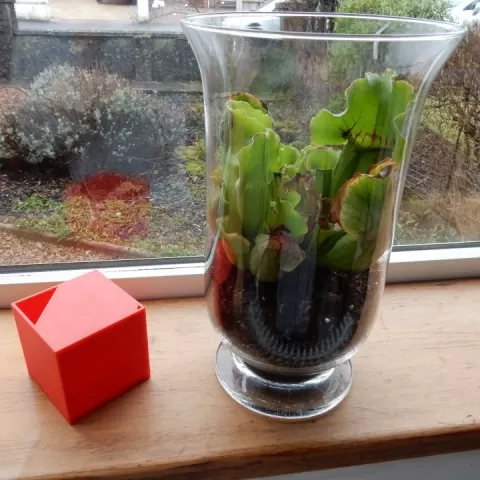Cube watering can by VEPLA