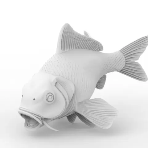 Koi Fish 3D Print Model double syrup