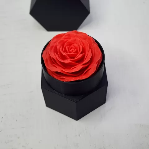 Eternal Rose