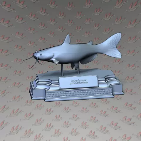 CHANNEL CATFISH - PREYstudio