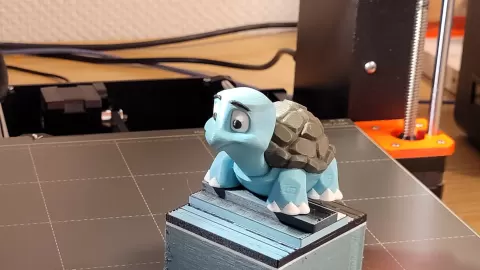 Cute little Turtle