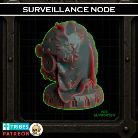 Surveillance Node