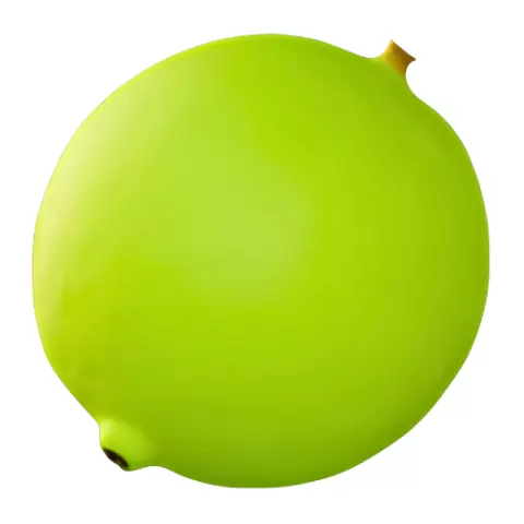 Simple Green Lime